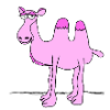 Chameau rose