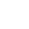 Small bat