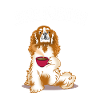 Cavalier King Charles Spaniel Gift