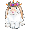 Easter Day Rabbit