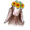Goat Sunflower