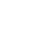 Lion Geometrisch Roi