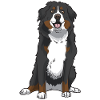 Bernese Mountain Dog Gift