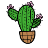 Cactus