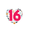 16th Birthday Girl 16 Years Gift