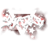 Skater Graffiti