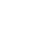 The Remix