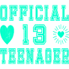 Official 13 teens