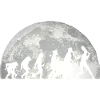 Tennis Tennis Player Evolution
