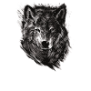 wild wolf
