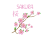 Japanese cherry blossom