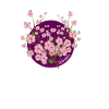 sakura tree
