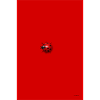 The 3D Ladybug