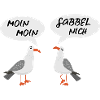 MOIN MOIN