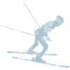 Ski