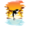 Schwertwal Killerwal Orca