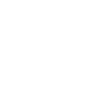 Security with dog