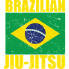 Brazilian Jiu-Jitsu Flag BJJ