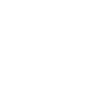 Jiu-Jitsu Brésilien Leglocks BJJ