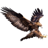 Flying-Eagle