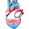 Funny Transgender Heart