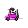 Staplerfahrer Damen Gabelstapler Stapler