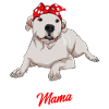 Dogo Argentino Chien Maman Dame