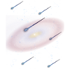 Astronomi