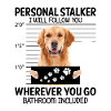 Dog Golden Retriever