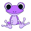frog with huge eyes,frog,eye