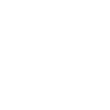 EBM Skull