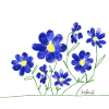 Blumenwiese Aquarell