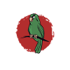Buongiorno un Cazzo divertente umorismo sarcastico