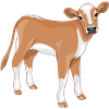 Cute calf