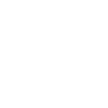 The Boss