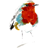 Robin | Robin I