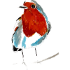 Robin | Robin II