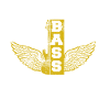 Bass Guitarist Bass Player