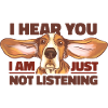 Funny Basset Hound Dog