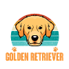 Dog Golden Retriever