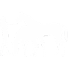 Pferde