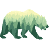 Bear Bear Nature Outdooor