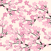 Rosa Kirschblüte Muster - Sakura