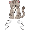 Sad furry cat