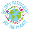 Destroy patriarchy woman feminist feminism