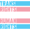 Trans Equality LGBT Transgender