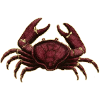 Crab