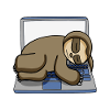 Sloth office funny relax