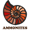 Ammonites