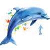 Dauphin Plongeur Baleine Dauphin Dauphin